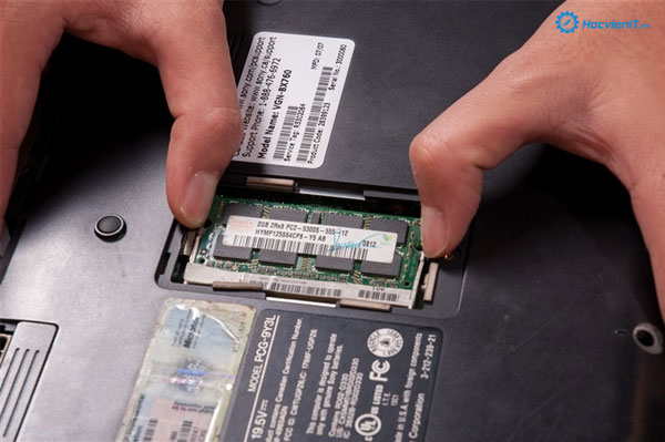 2 thanh lẫy cố định RAM 2 thanh lẫy cố định RAM