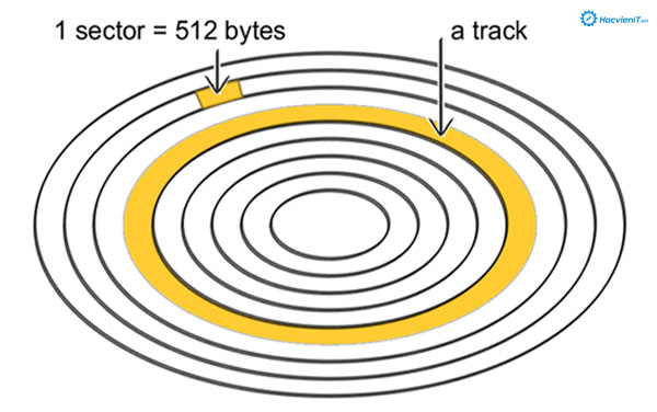 Track và Sector