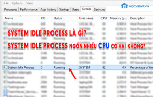 System Idle Process là gì? System Idle Process ngốn nhiều CPU có hại không?