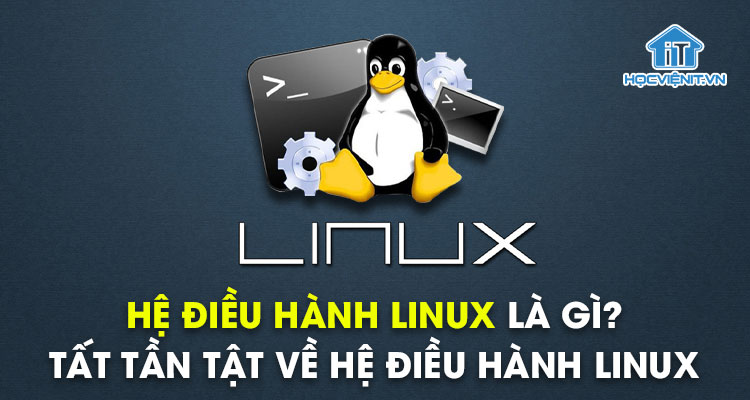 Hệ điều hành Linux là gì? Tất tần tật về hệ điều hành Linux