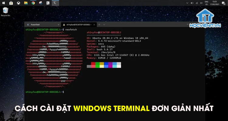 Cách cài đặt Windows Terminal đơn giản nhất