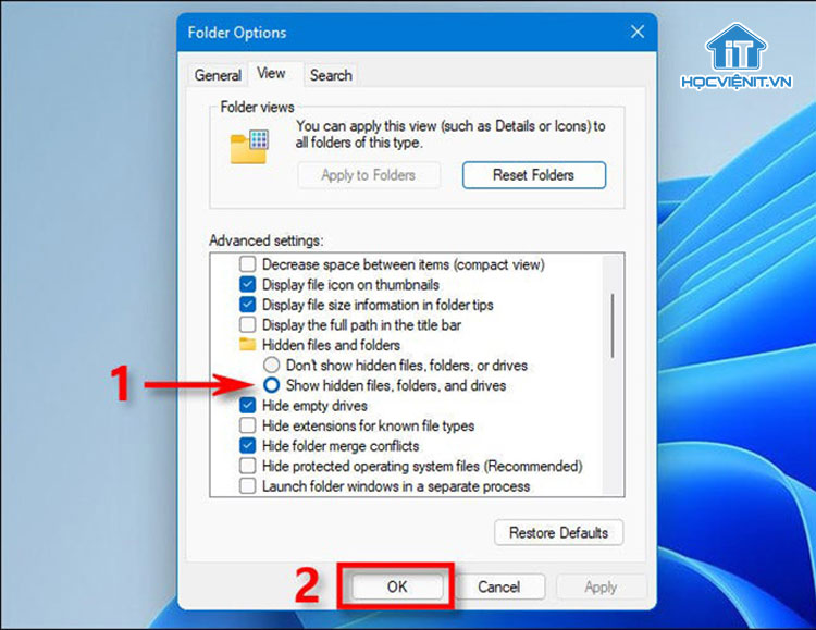 Chọn Show hidden files, folders, and drive