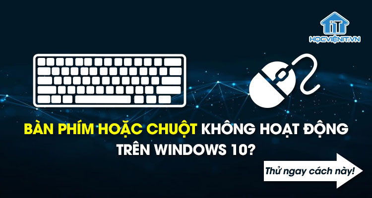 Bàn phím hoặc chuột không hoạt động trên Windows 10? Thử ngay cách này!