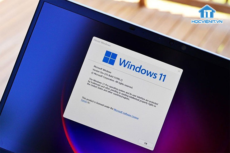 Windows 11 mang lại thời lượng pin và hiệu suất ứng dụng tốt hơn