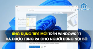Ứng dụng Tips mới trên Windows 11 đã được tung ra cho người dùng nội bộ