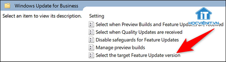 Kích đúp vào mục “Select the Target Feature Update Version”