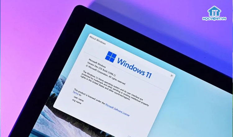 44% trên 30 triệu thiết bị được khảo sát đủ điều kiện nâng cấp Windows 11
