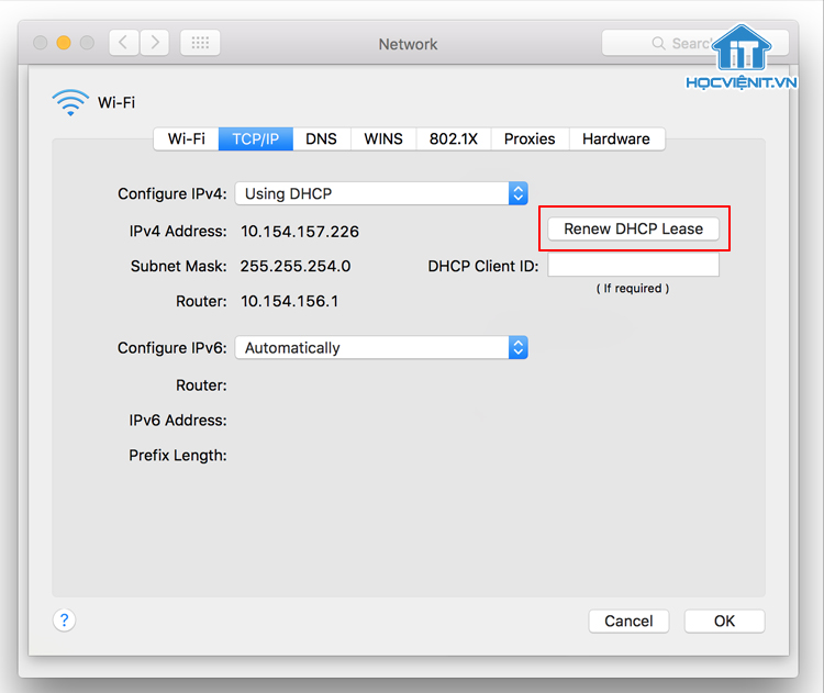 Làm mới địa chỉ IP trên macOS